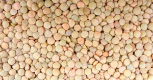 Close up of raw lentils.