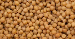 Close-up of raw chickpeas, showcasing their golden color and high protein content.