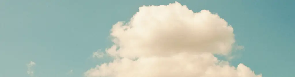 Adriana Alternative Where Wellness Meets Your Wiring