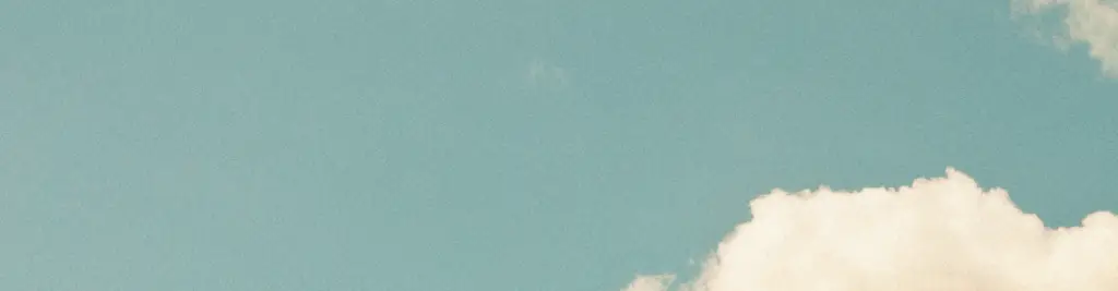 Adriana Alternative Where Wellness Meets Your Wiring