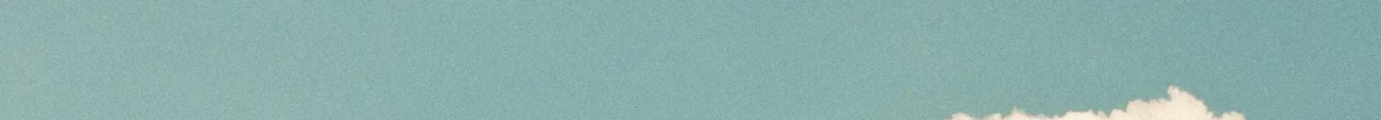 Adriana Alternative Where Wellness Meets Your Wiring