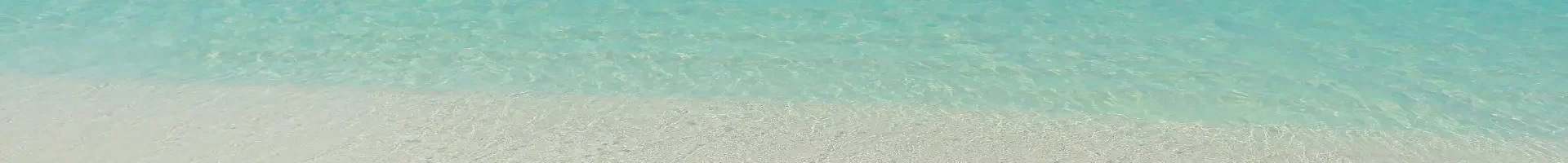 Adriana Alternative Where Wellness Meets Your Wiring